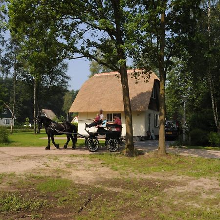 Beautiful Holiday Home In Heeten With Private Garden Esterno foto