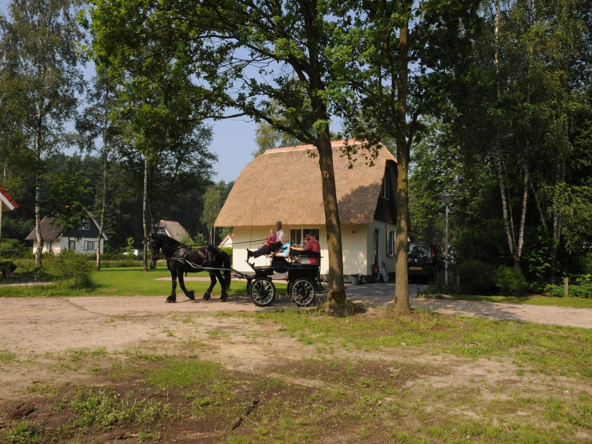 Beautiful Holiday Home In Heeten With Private Garden Esterno foto